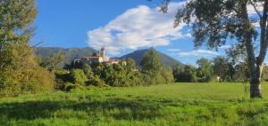 Charming Bed & Breakfast near to Lucca