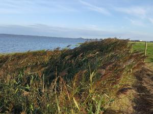 5 star holiday home in Rømø