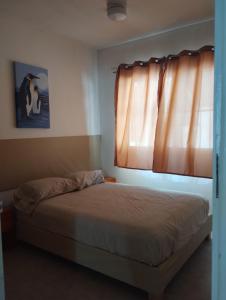 Casa céntrica amplia en Veracruz
