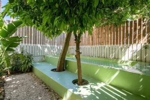 Contemporary oasis in the heart of Lisbon