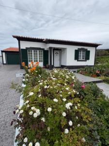 Zizi home