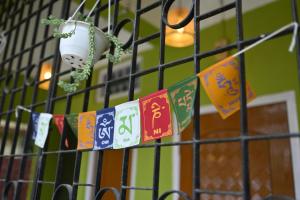 The Backpackers Hostel
