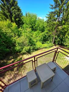 Studio Martin 1 Sokobanja - Park Čuka 2