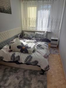 Wynajmę Mieszkania Krótkoterminowo Mrągowo