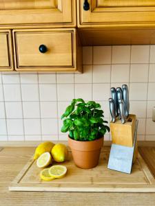 Apartament na Muszelkowej