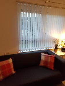 Bathgate Contractor and Business Apartment