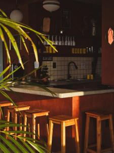 Casa Papillon Vidigal ꕤ