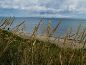 4 person holiday home in Ålbæk
