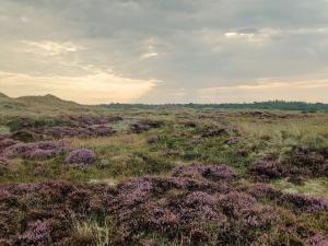 4 person holiday home in Ålbæk
