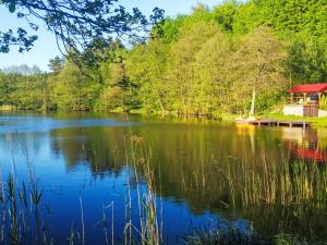 Holiday Home in Kaschubei am eigenen See by Interhome
