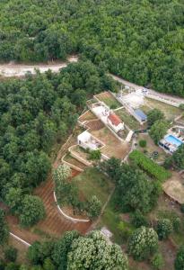 Ethno Village & Winery Vuk