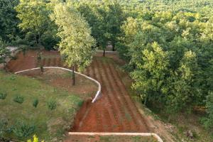Ethno Village & Winery Vuk