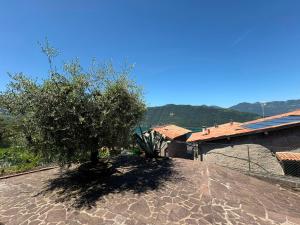 La Casa della Nonna