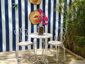 Cocon Vert Cozy apartment in Sidi Bou Sad