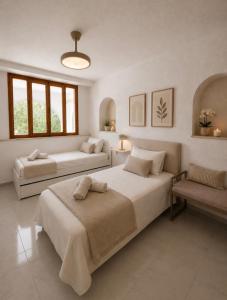 Villa con piscina y jardín privado - Villa Olivo - Dos plantas independientes