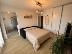 Appartement Cosy