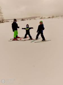 Chatka Mysliwego Wladka