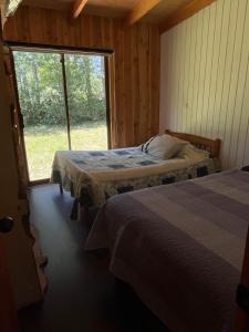 Cabañas Amün Punahue - Huilo Huilo