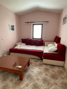 Apartments Minja S