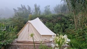 Arambha ecovillage farmstay