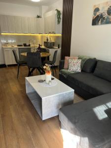 Apartment VIP