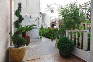 Hotel Suzana Budva
