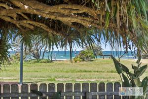 Pandanus on Emerald