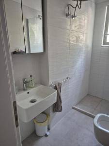 Pine Forest View Apartments