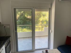Pine Forest View Apartments