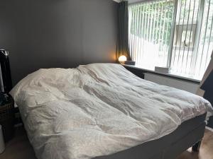 Quiet 3BR Apartment Near Kringlan & Downtown