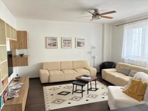 Family Flat in the heart of Senec