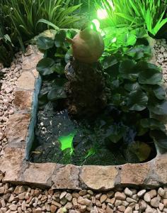 My Afytos Garden