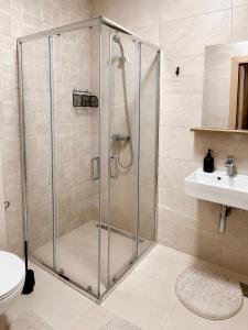 Premium Penthouse Valjevo