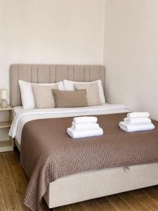 Premium Penthouse Valjevo