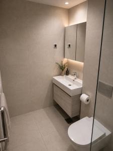 Belgrade Waterfront Penthouse 17th last floor