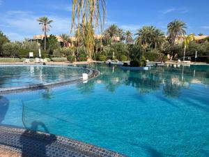 Golden view palmerie with swimming pool