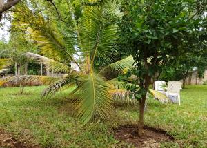 THE LEMON TREE ENSUITE at lewisville villa-A unique luxurious one bedroom holiday home