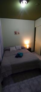 Departamento Altos Mendoza Monoambiente