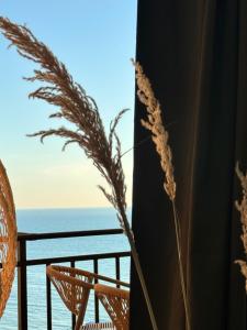 Belix Seaview Studio Apartments
