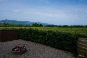 Bridges Cottage - Hot tub - Plunge Pool