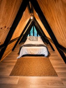 Basecamp Colombia