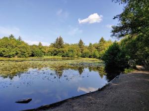 4 star holiday home in Bindslev