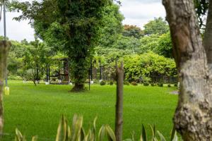 El Bosque de Mamapán Ahuachapán