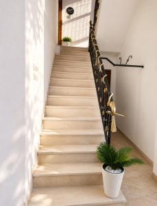 Amaya Pine Studio