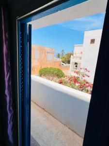 maison hajji