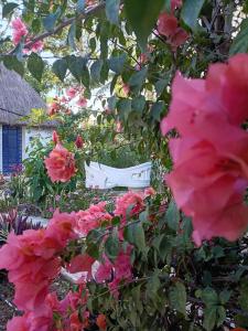 Hotel and Museum Aldea Maya Toktli Orígenes - Pool, Wifi Starlink & Mayan House Museum Tour