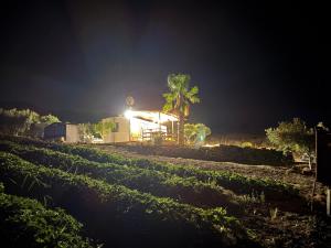 Casa vacanze Trinacria