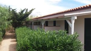 Studio room in L'Araucaria