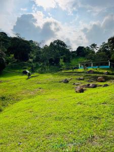 Finca Lantana Oficial