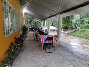 EL Jardin De Los Anturios